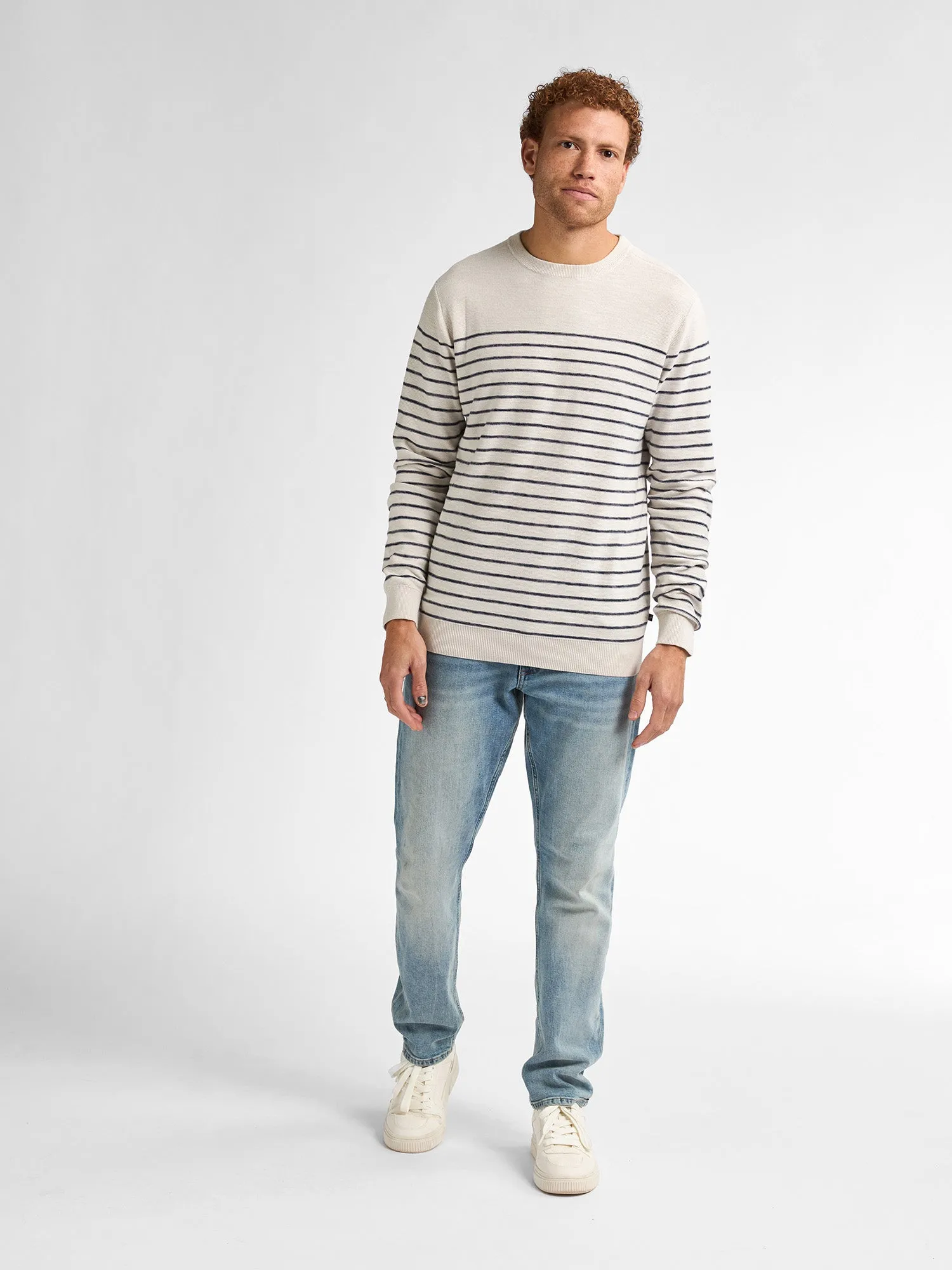 Striped Jumper Palm