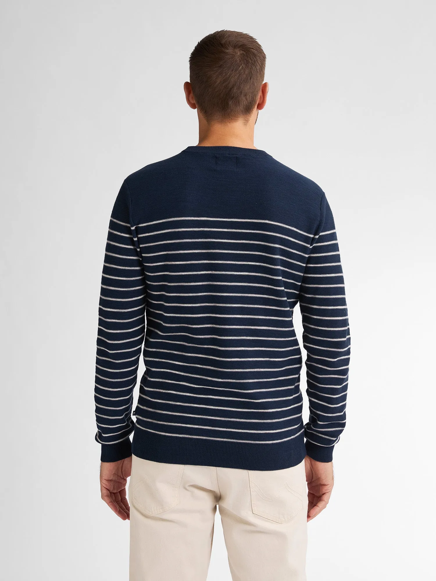 Striped Jumper Palm