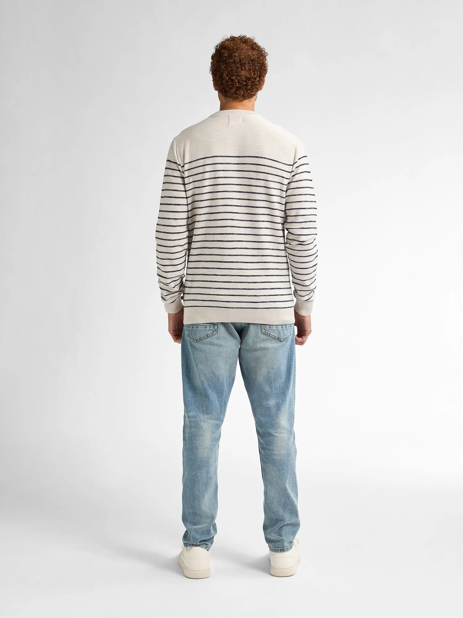 Striped Jumper Palm