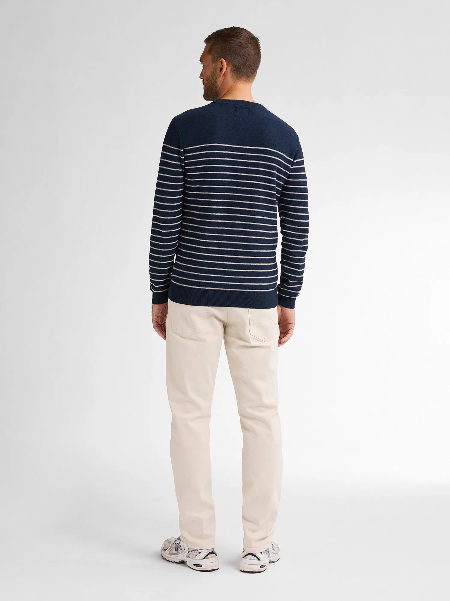 Striped Jumper Palm