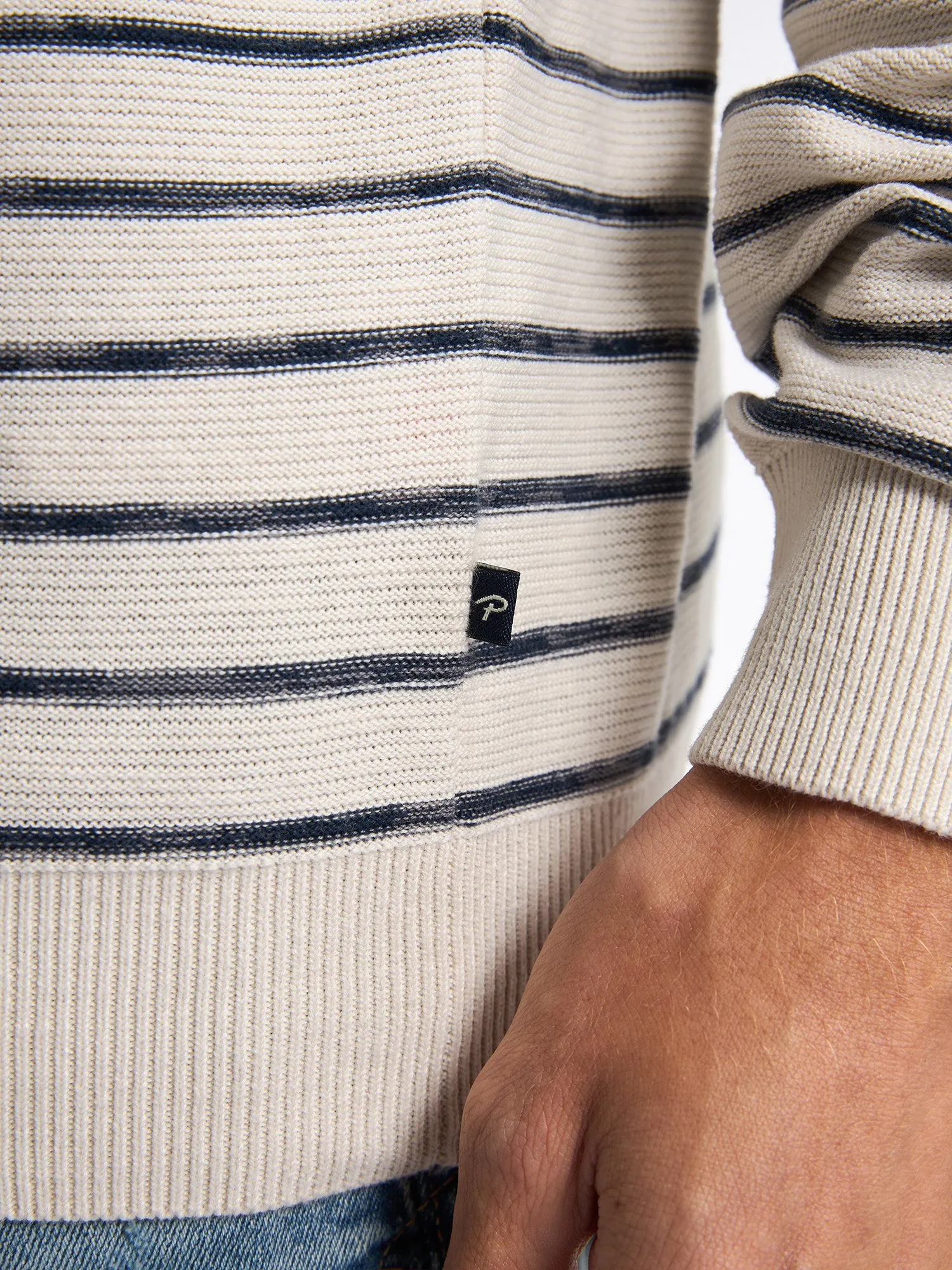 Striped Jumper Palm