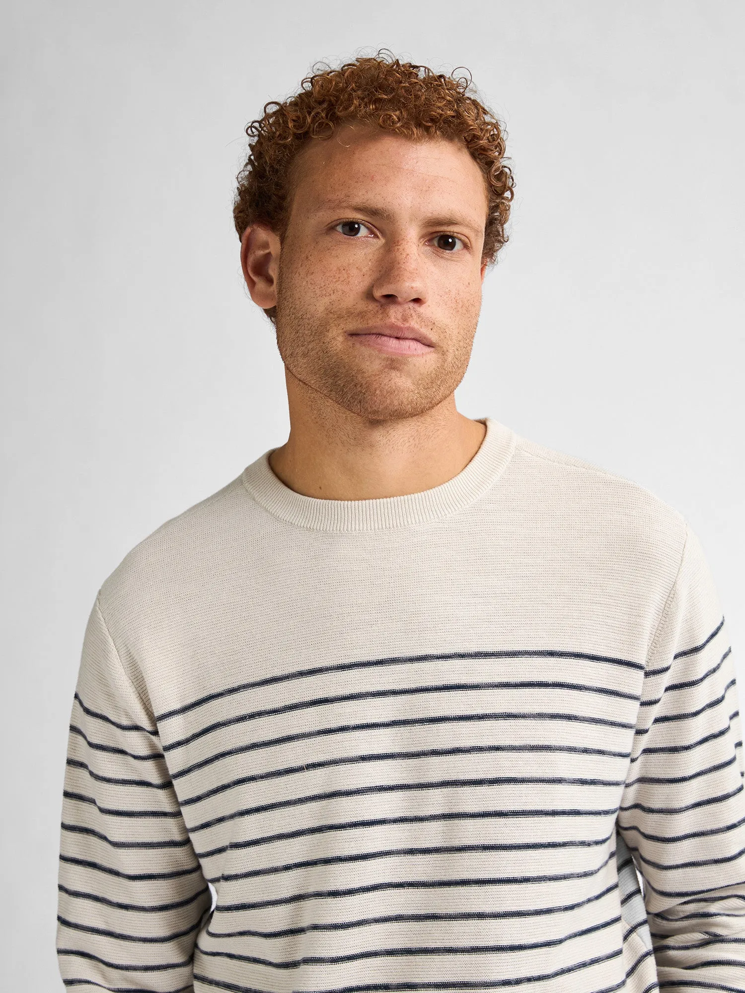 Striped Jumper Palm