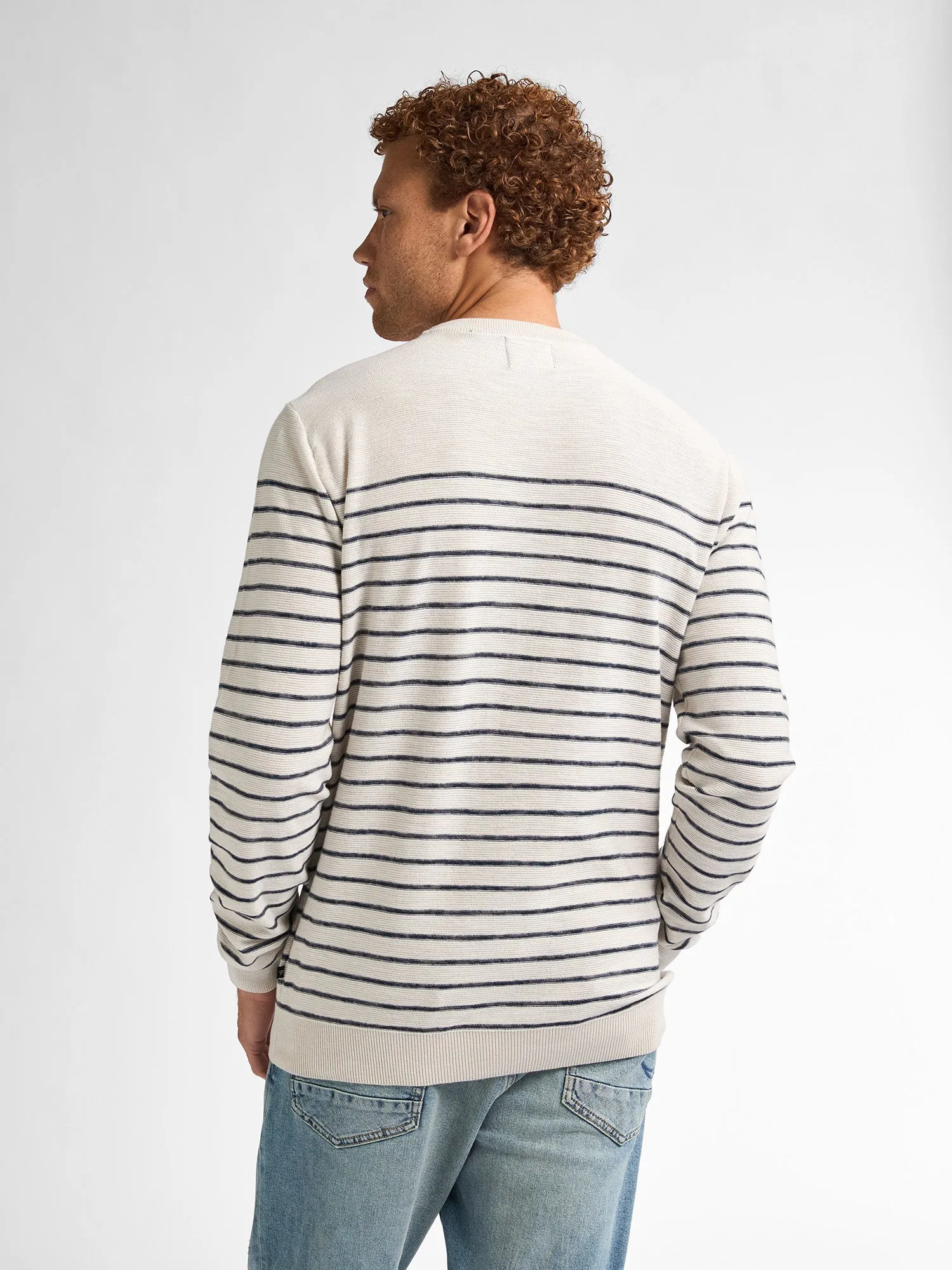 Striped Jumper Palm