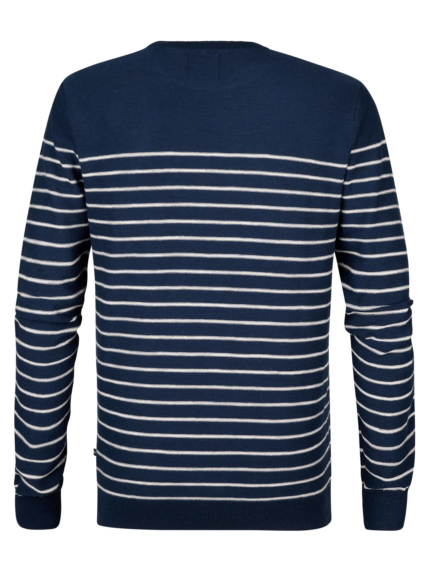 Striped Jumper Palm