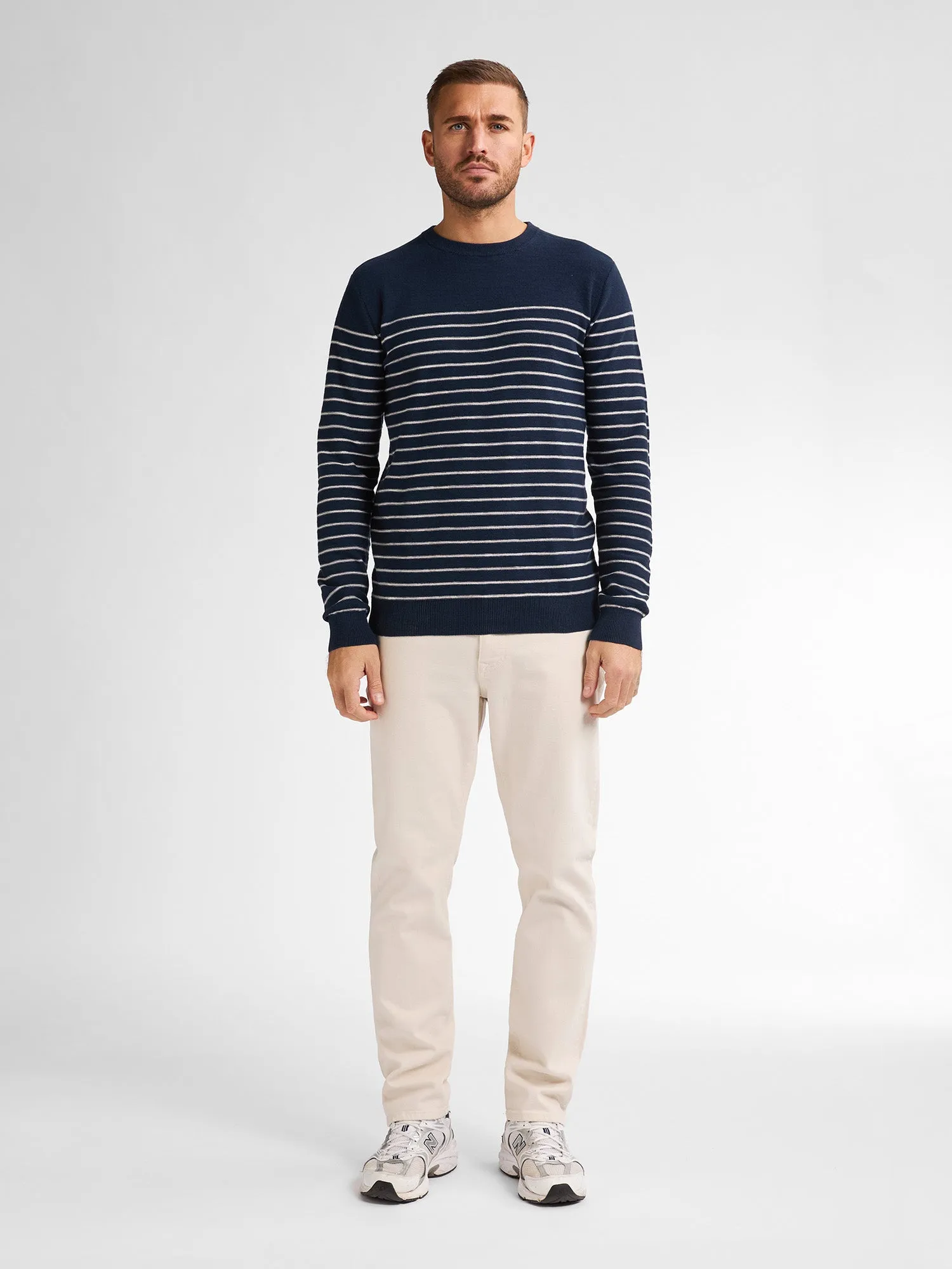 Striped Jumper Palm