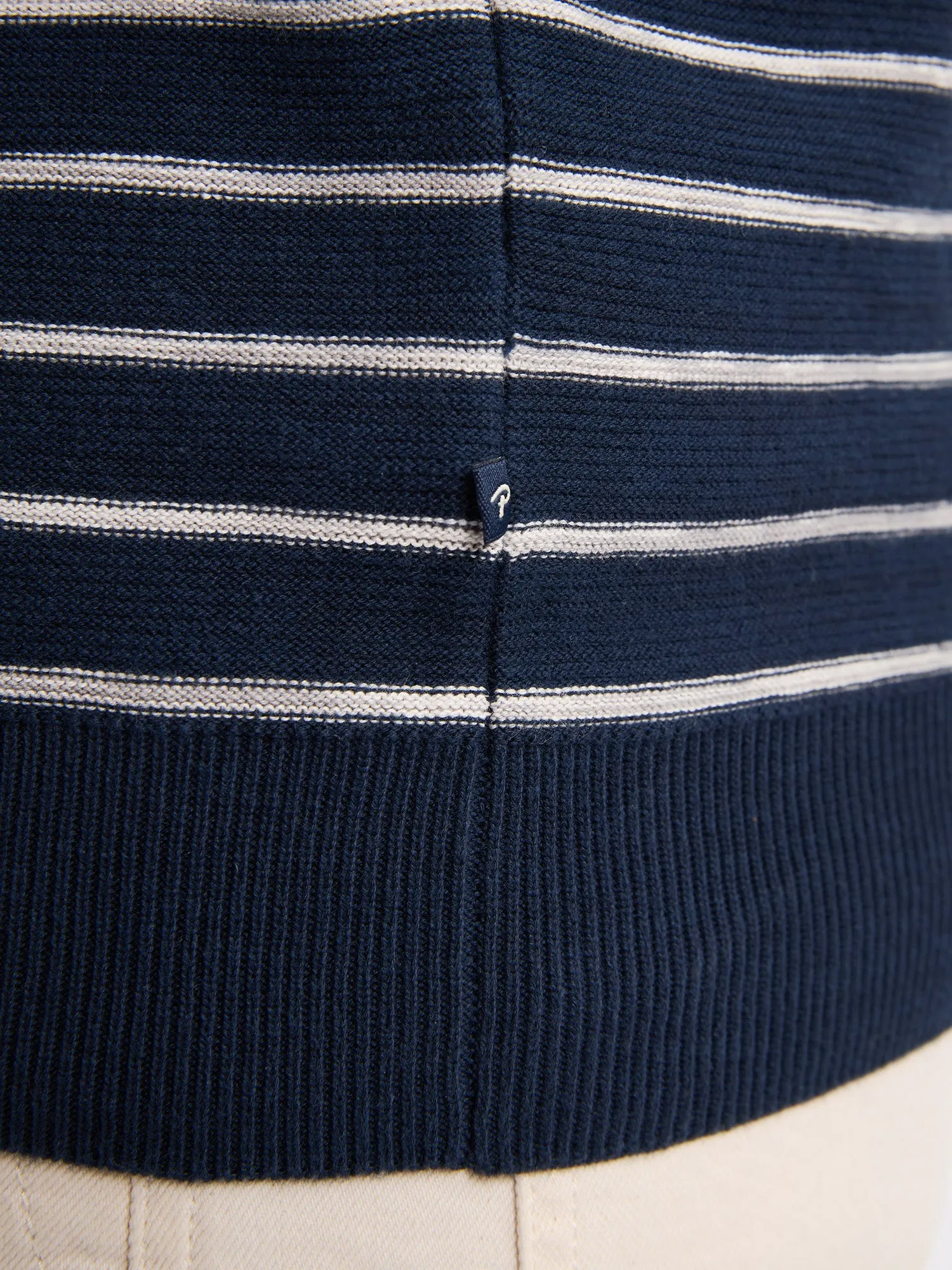 Striped Jumper Palm