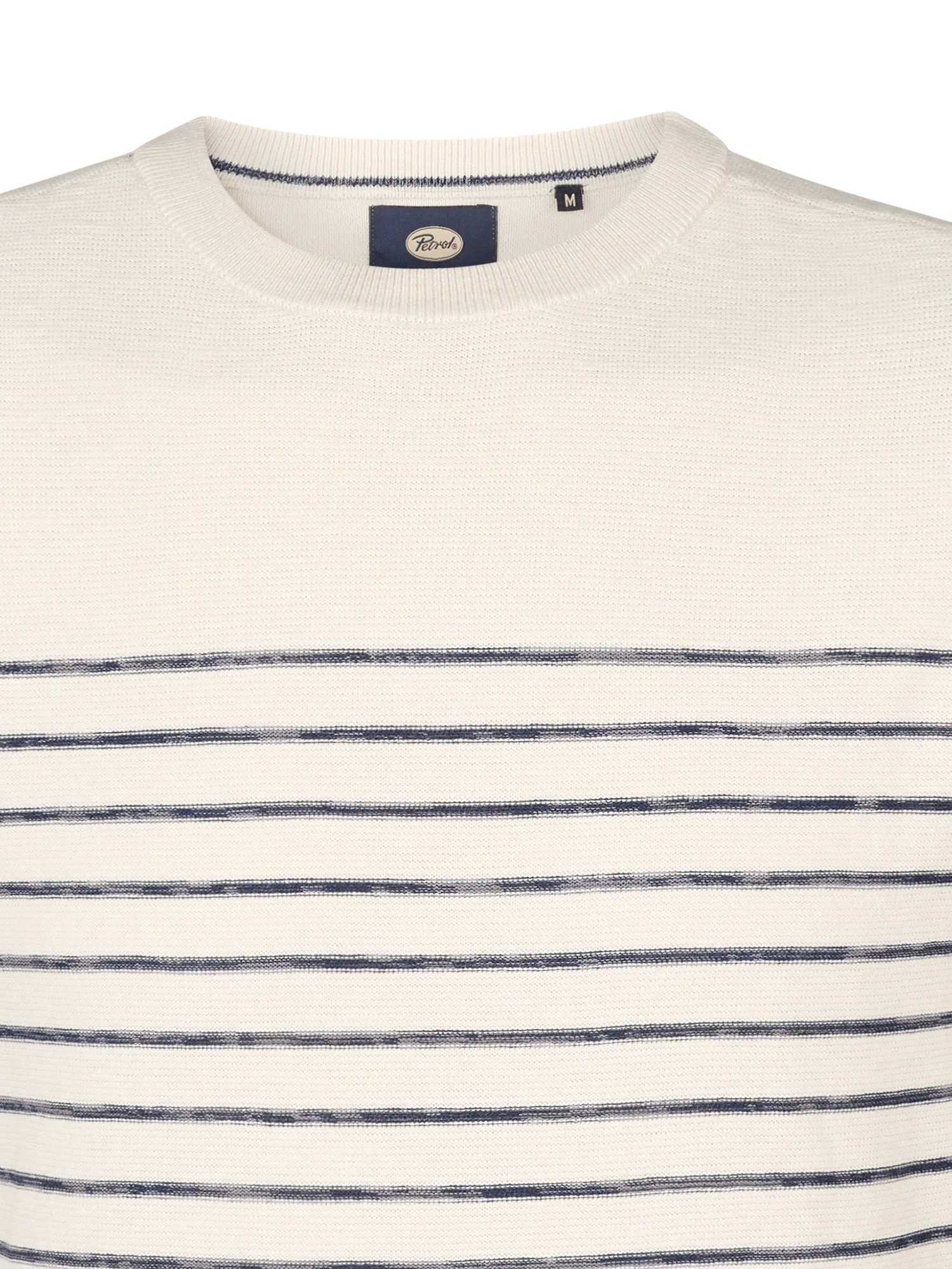 Striped Jumper Palm