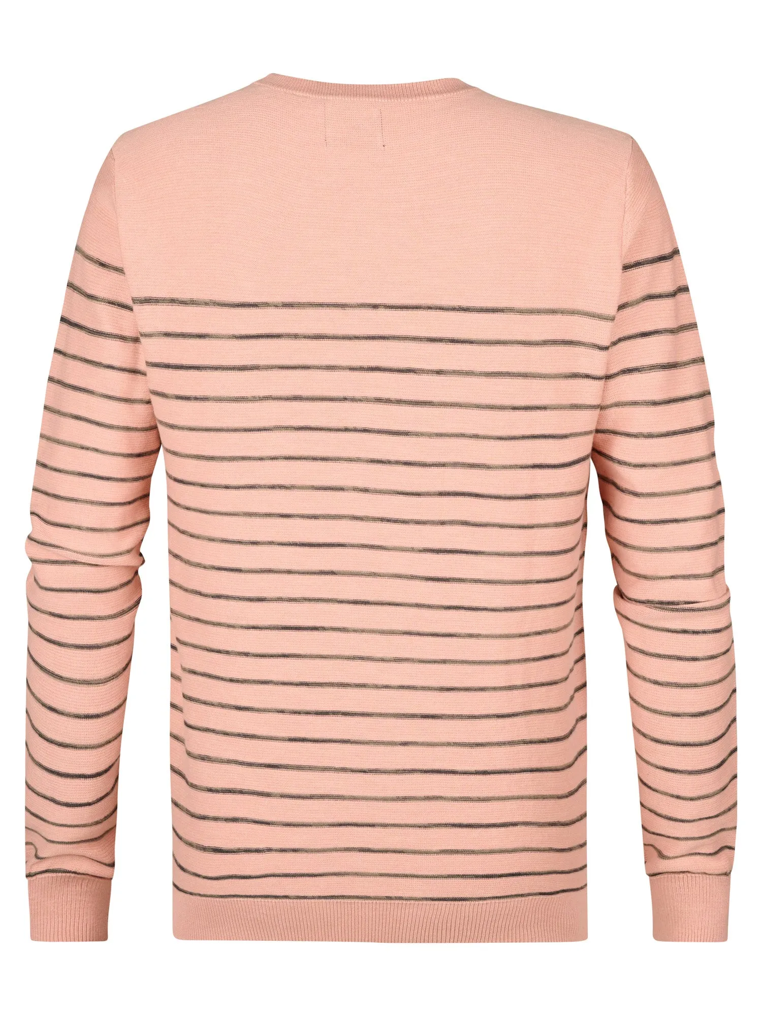 Striped Jumper Palm