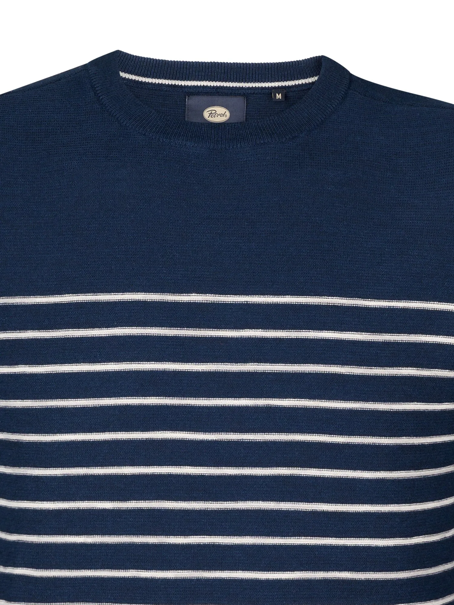 Striped Jumper Palm