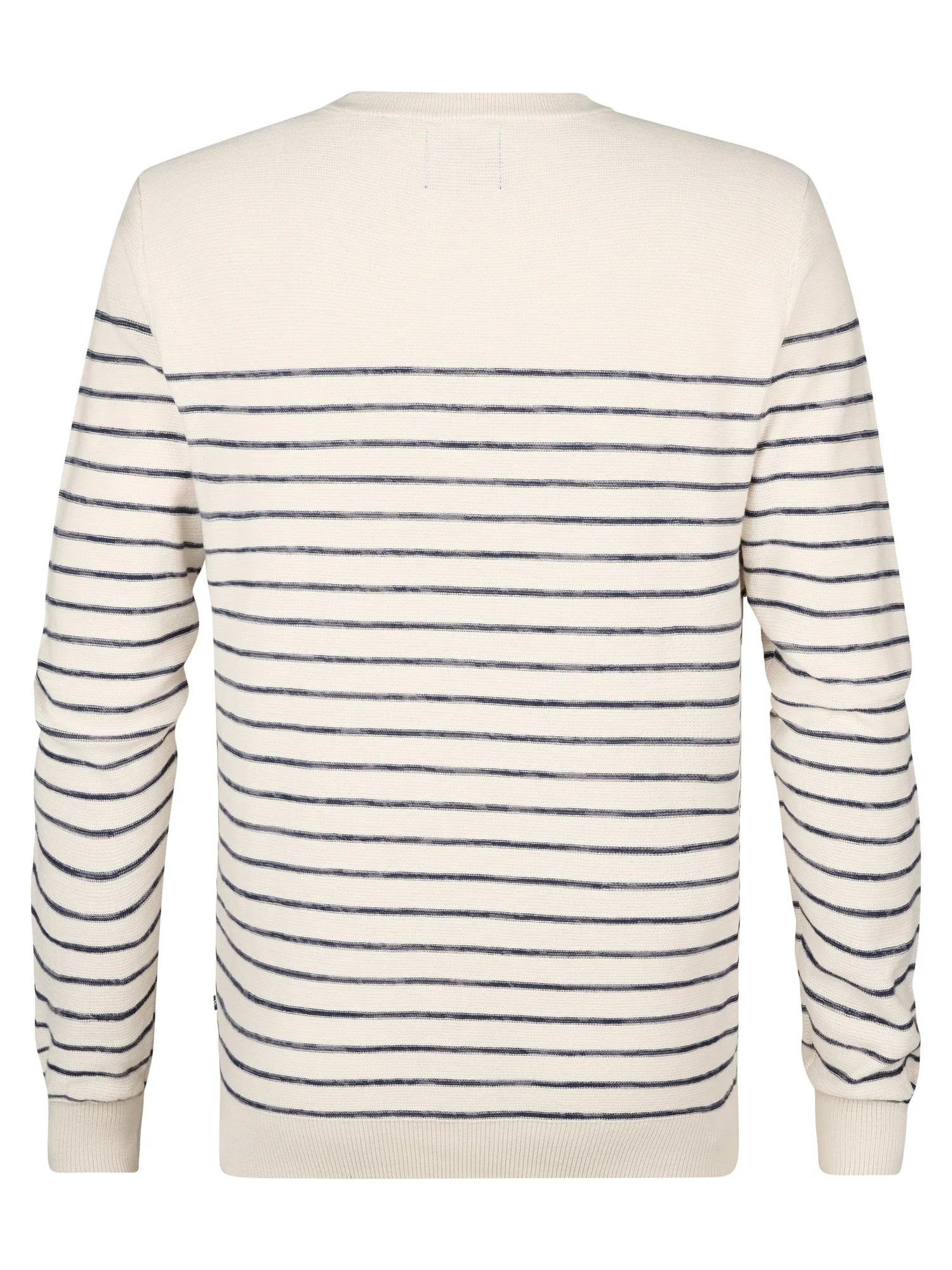Striped Jumper Palm