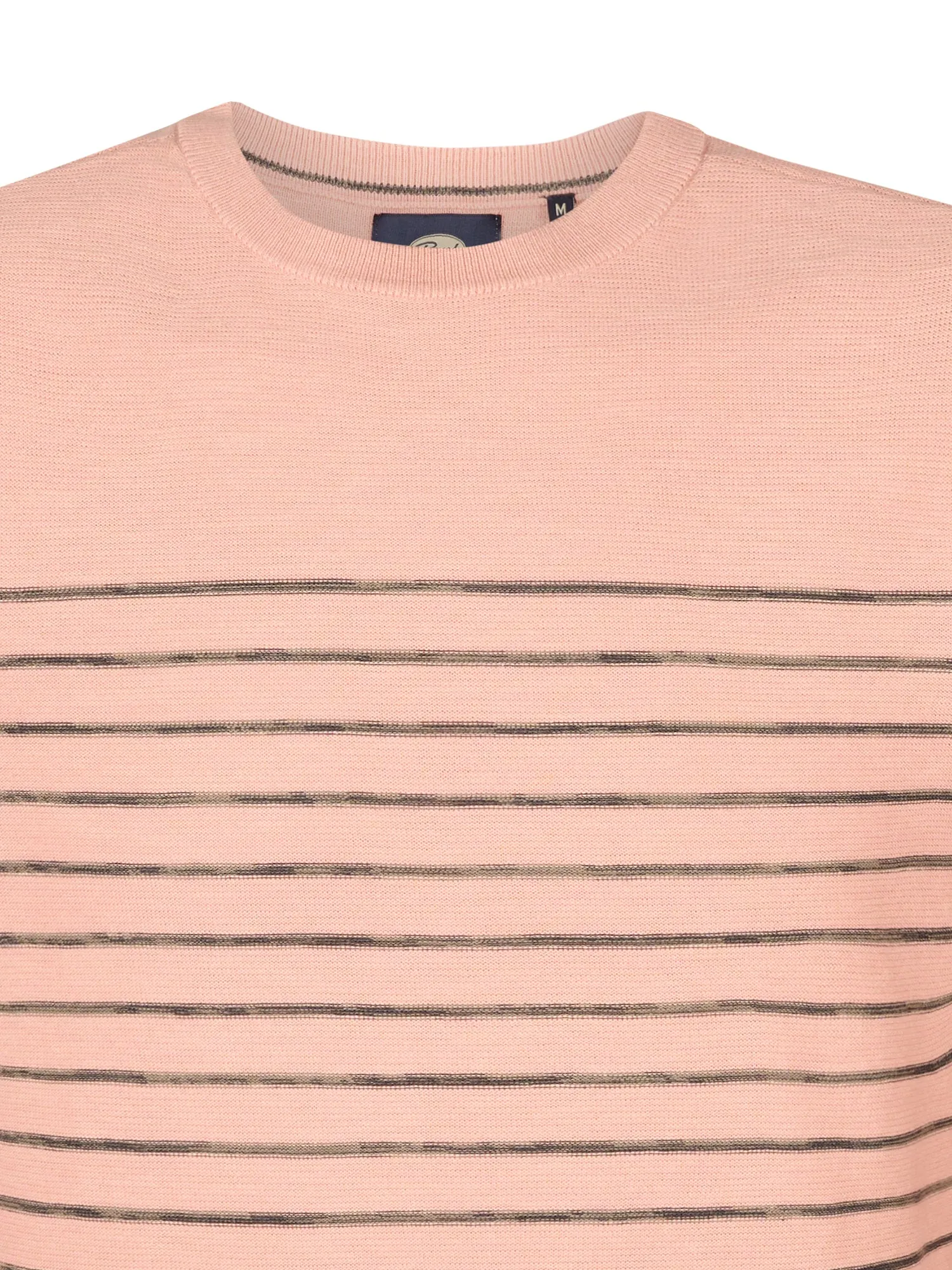 Striped Jumper Palm
