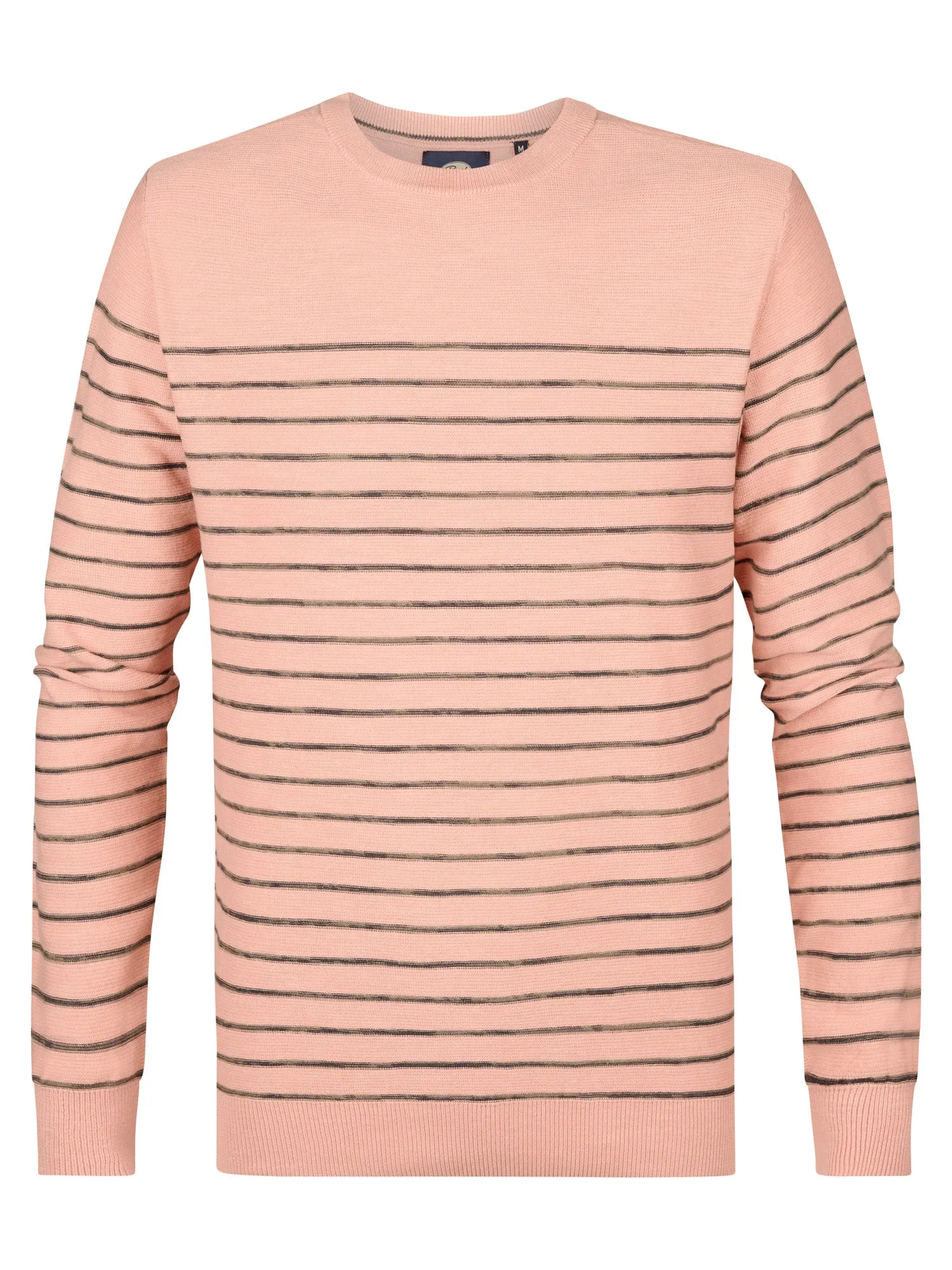 Striped Jumper Palm