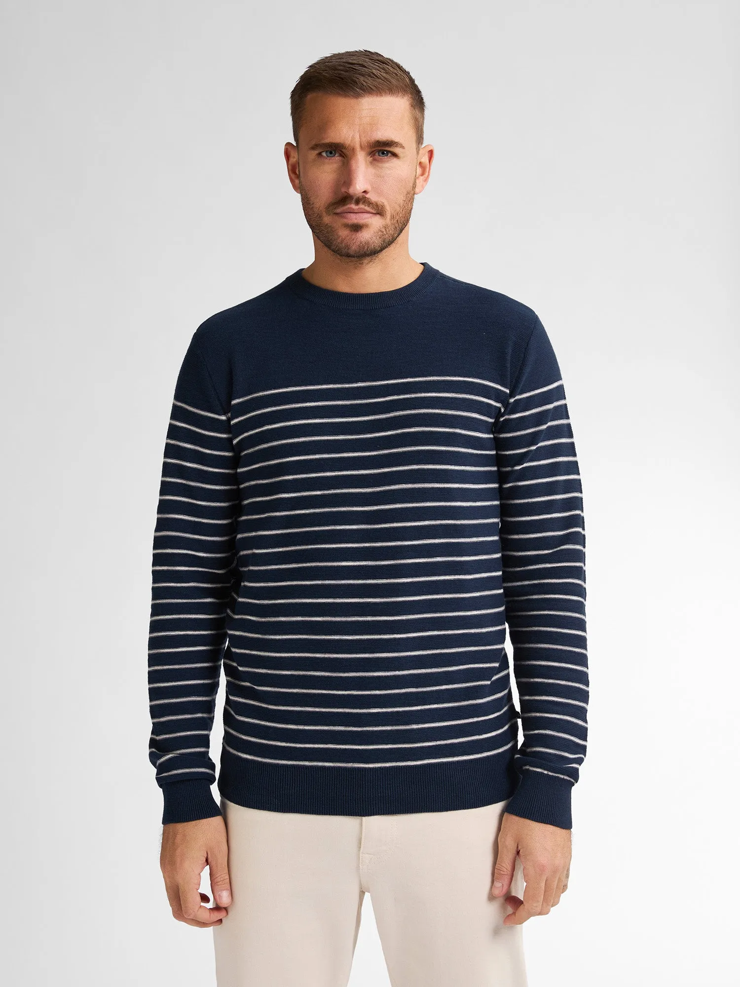 Striped Jumper Palm